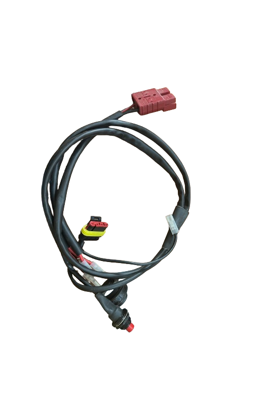 Cablaggio Principale Mf3 Tm