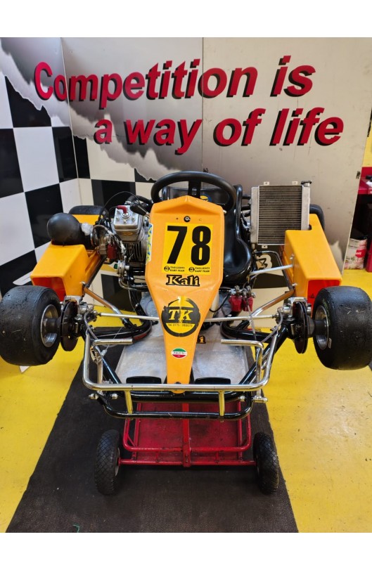 Kart Completo CRG Mod. Kalifornia / PAVESI Tipo C Anno 1994 Usato ORIGINALISSIMO
