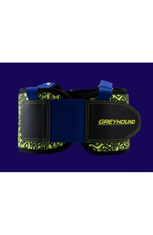 Paracostole Greyhound