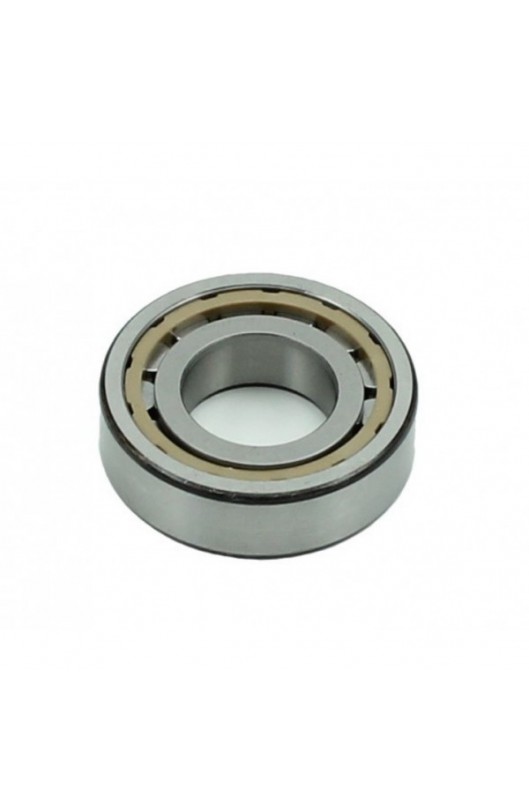 Cuscinetto Di Banco A Rulli 6205 C4 BC1-1442 D SKF