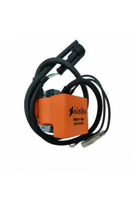 Centralina (Bobina) OK-N 15000 RPM Arancio