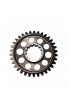 Ingranaggio Leggero X Contralbero TM OK