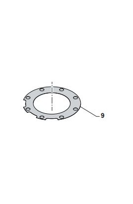 Guarnizione Testa Kz-R2 0,05 Conf. 10pz Tm