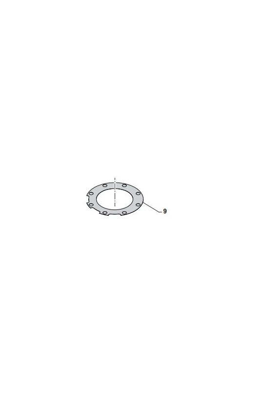 Guarnizione Testa Kz-R2 0,05 Conf. 10pz Tm