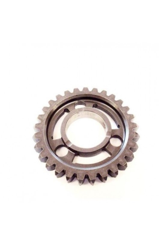Ingr A.S. 2a Z 29 Gabbia Rulli