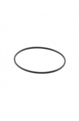 Oring Interno Cilindro SGM
