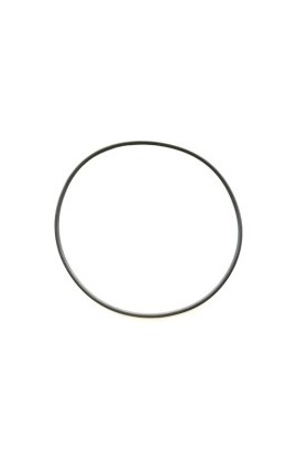 Oring Esterno Cilindro SGM