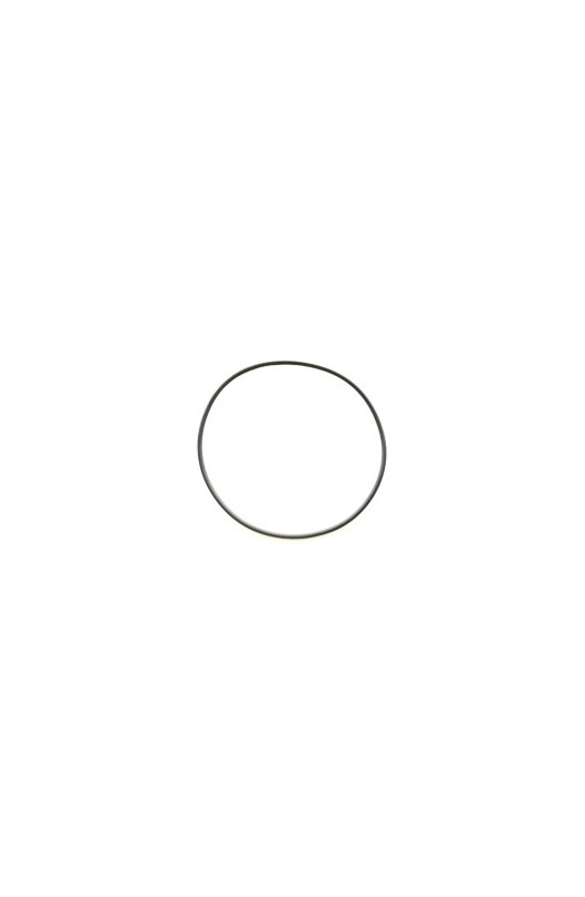 Oring Esterno Cilindro SGM