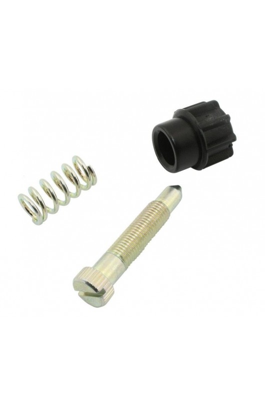 Kit vite regolazione valvola gas VHSH 30 Dell'orto