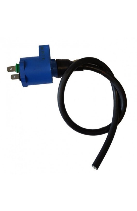 Bobina selettra Iame 60cc mini Blu