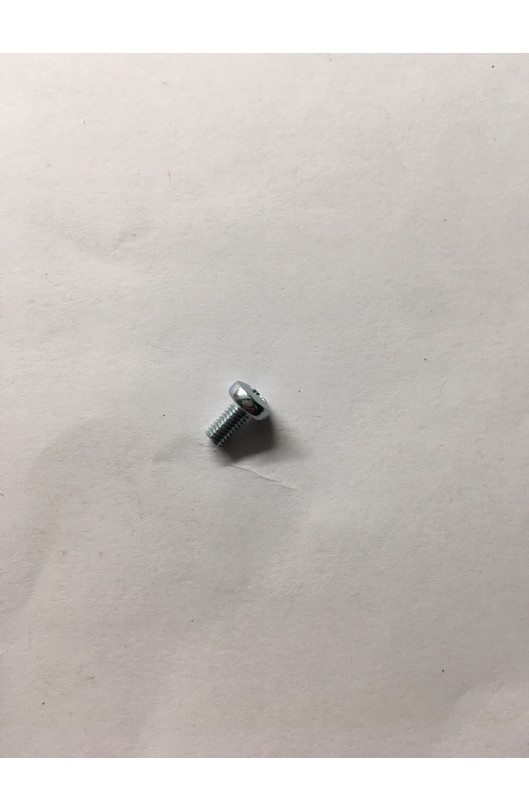 Vite T.C 3mmx6mm per Pacco Lamellare Tm
