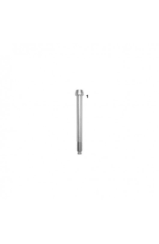 Vite Fusello 10x120 CRG