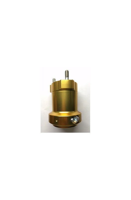 Mozzo in Alluminio Anodizzato 50/95-8 Oro, Righetti Ridolfi