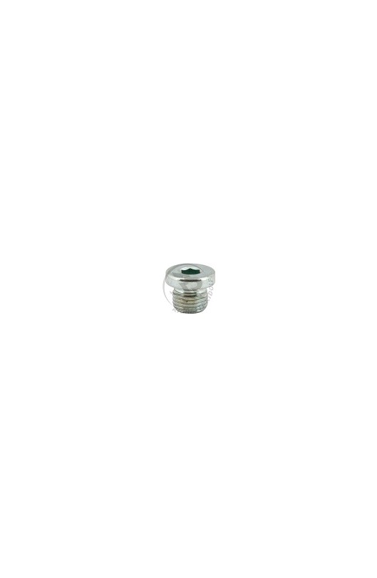 Tappo Olio M10x1mm (per Pompa K225)