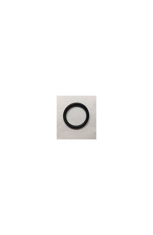 O-Ring Piccolo 2010 PCR