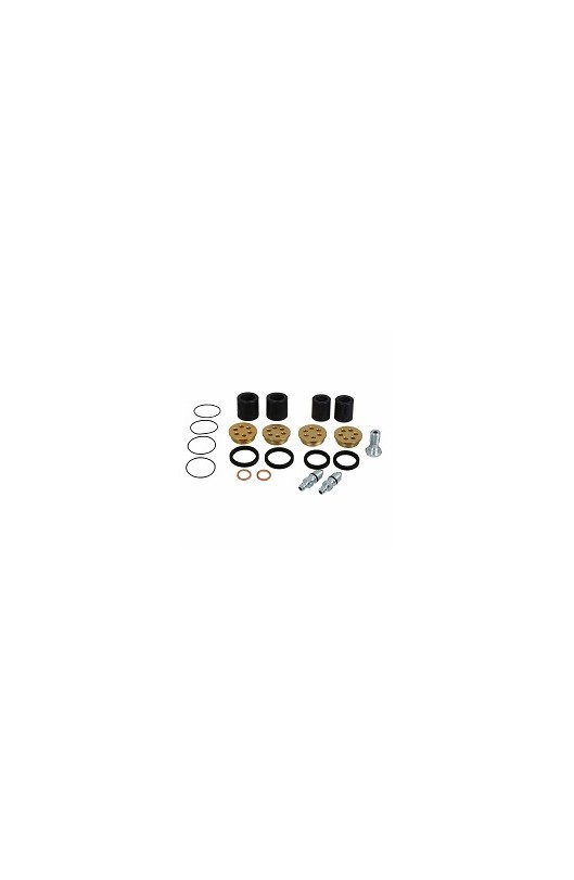 Kit Revisione per Pinza Speed Evo2 Posteriore, Righetti Ridolfi