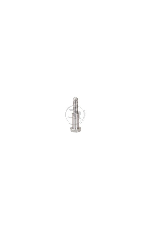 Vite M6-D8 L.18mm per Campana Anteriore KZ RighettiRidolfi