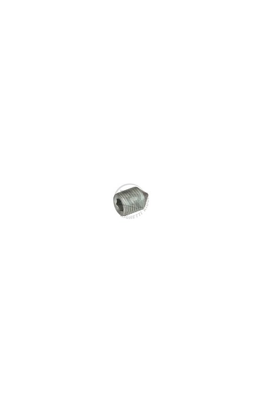 Grano STEI M5x5mm Punta Conica Righetti Ridolfi
