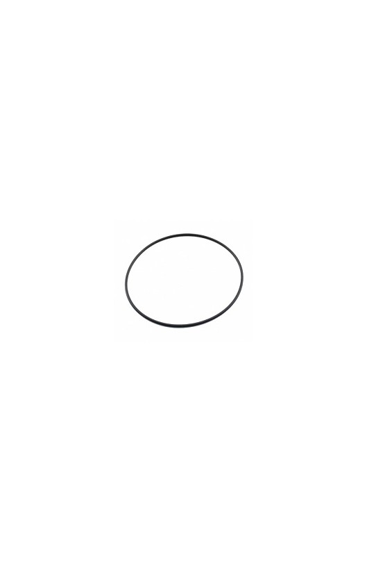 Oring Esterno Testa Cilindro Pavesi (nero)