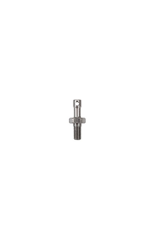 Vite forata 6mm per musetto portanumero