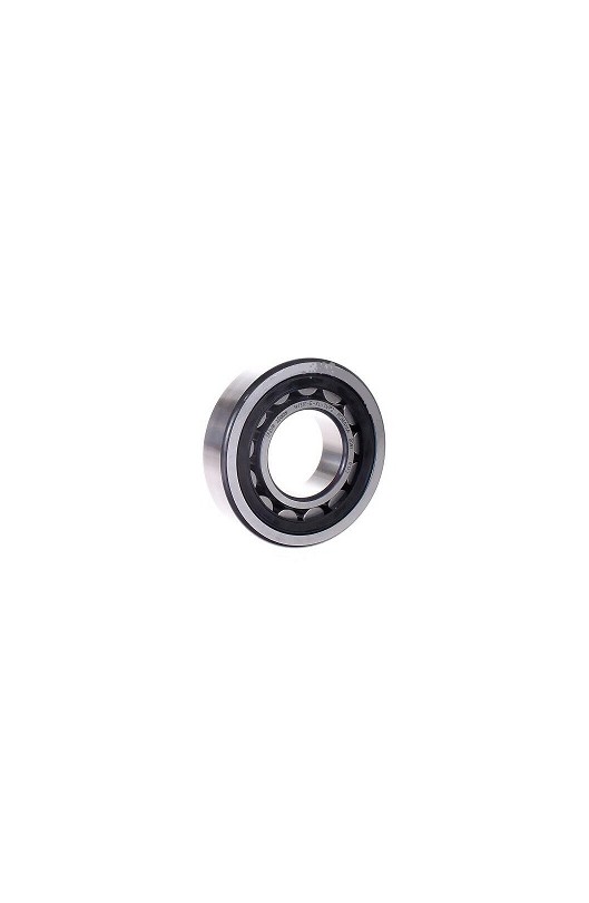 Cuscinetto 6202 Z C4 TM