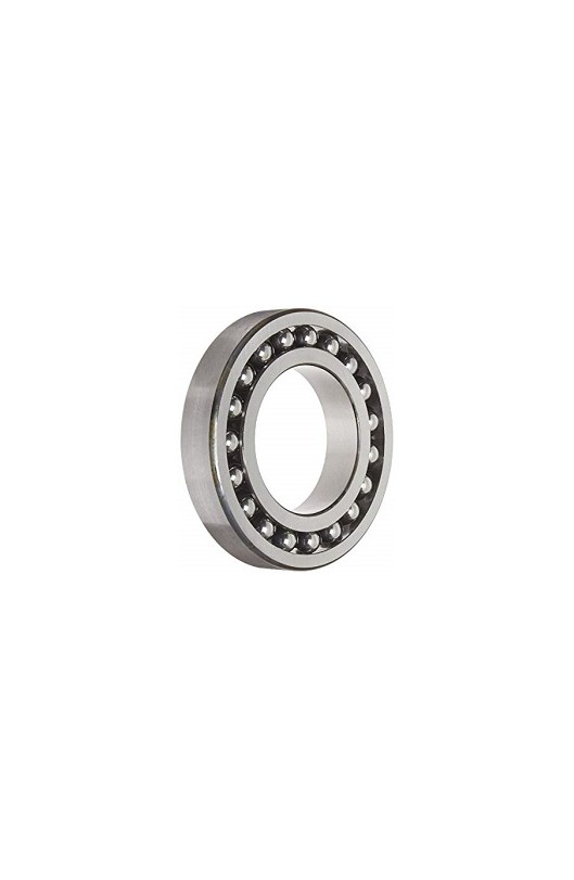 Cuscinetto 6005 C4 TM