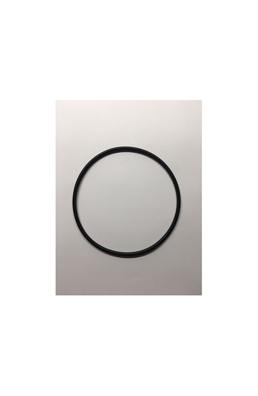 O-Ring Testa Grande Tm K11B 100cc