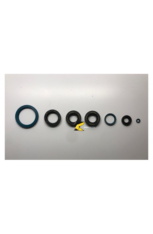 Kit Paraoli K9/K9B/K9C/KZ10/KZ10B/KZ10C/KZ R1 Tm Racing