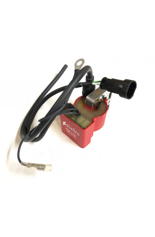 Centralina Dig.A.T. Selettra 60cc 14,000RPM