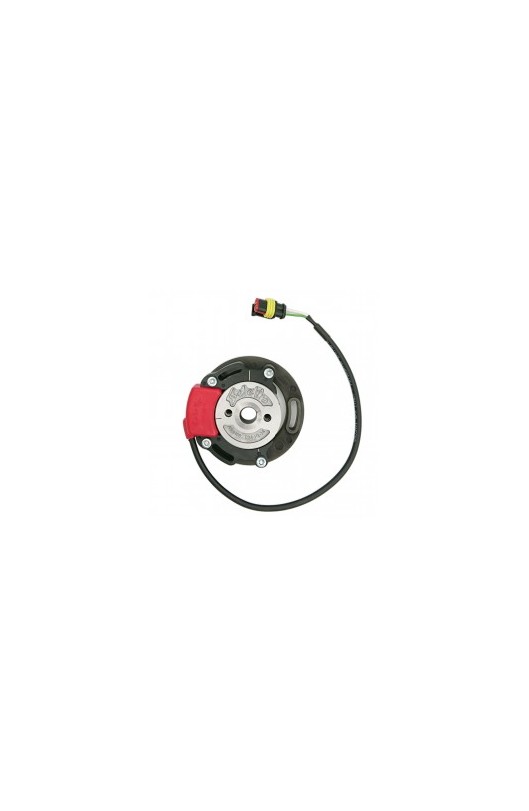 Accensione Rotore+Statore Motore KZ cc SELETTRA