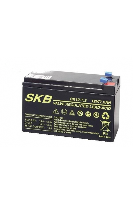 Batteria Piombo12V 7.2Ah