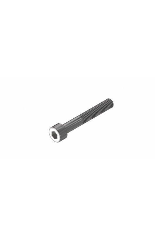 Vite TCEI M5X40