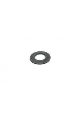Rondella Elastica Disco Freno Anteriore V05 V04 NewAge CRG