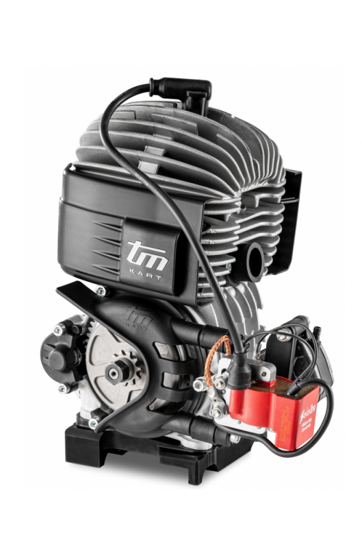 Motore TM 60cc Mini e Baby - MINI - 3 - 2024 !!